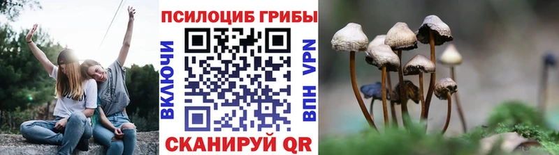 наркота  Бугульма  Псилоцибиновые грибы мицелий 