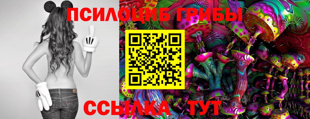 Галлюциногенные грибы мухоморы Бугульма